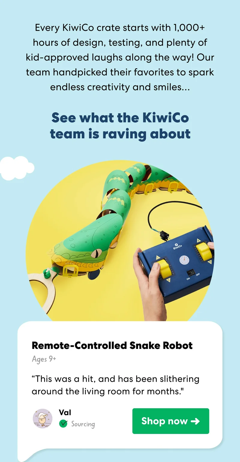 Remote-Controlled Snake Robot