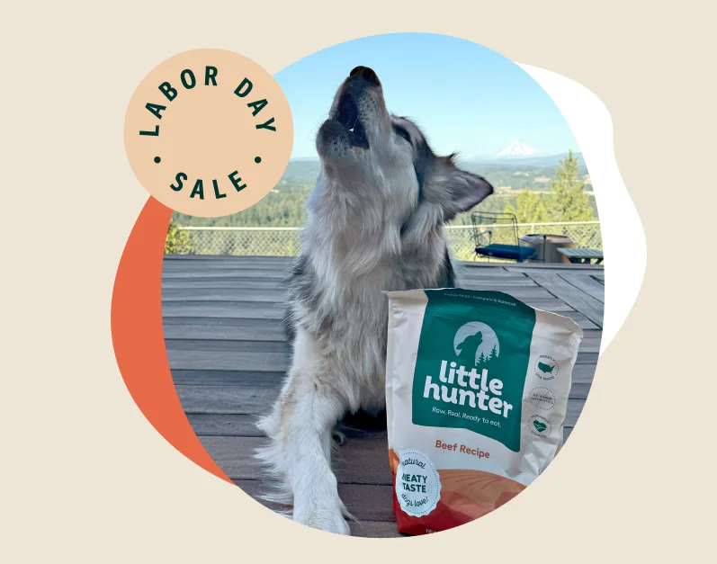 Labor Day Sale