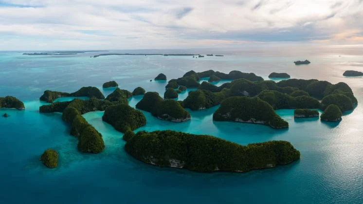 Palau_Ngerukeuiddronesage