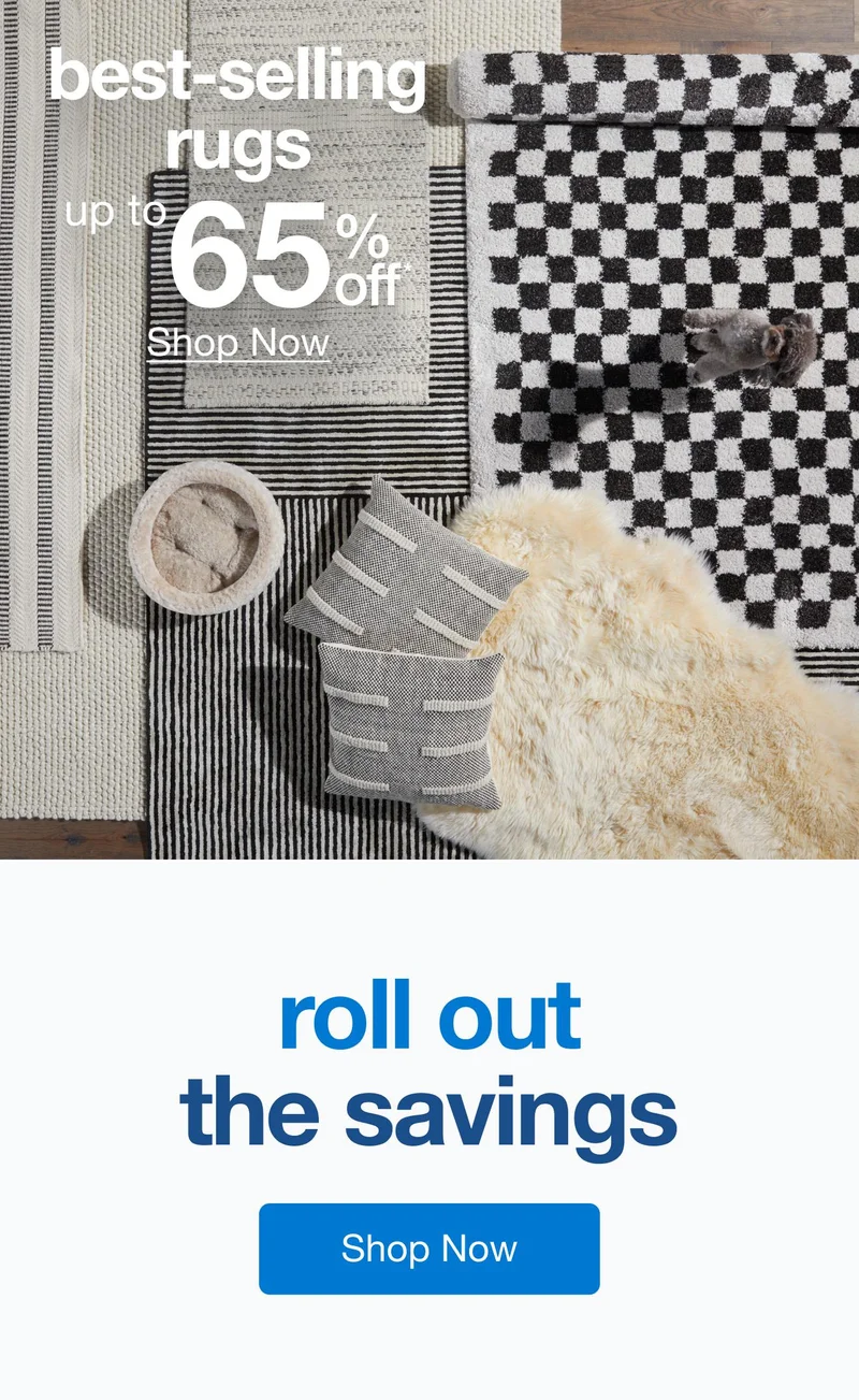 Best-Selling Rugs Up to 65% Off* — Shop Now!