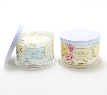 HomeWorx by Slatkin + Co. S/2 18oz Garden Butterfly Mixed Duo Candles