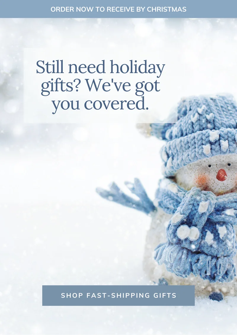 Shop Fast Shipping Gifts