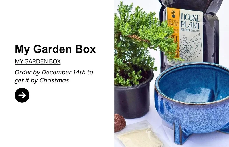 My Garden Box