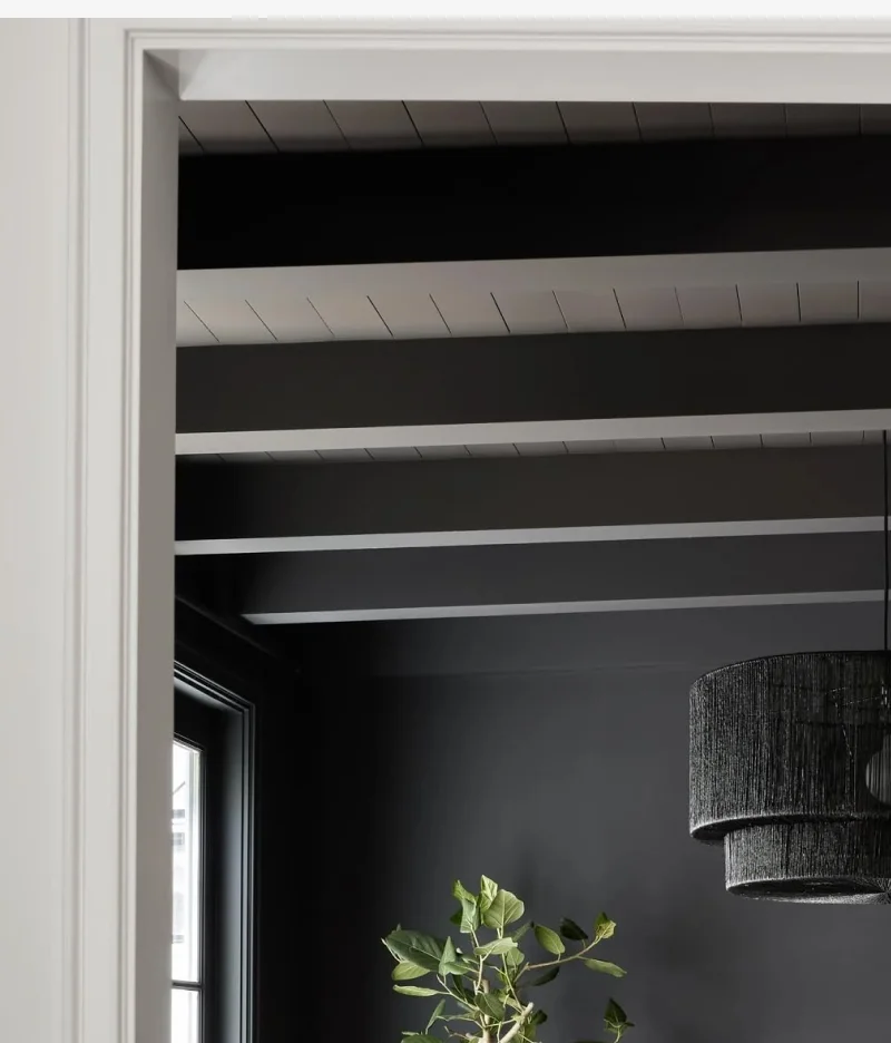 Shop Senna Rug