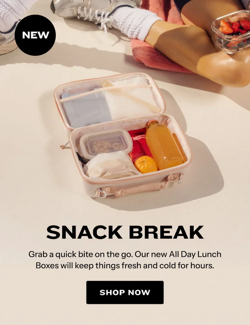 NEW All Day Lunch Boxes are here. Shop now.
