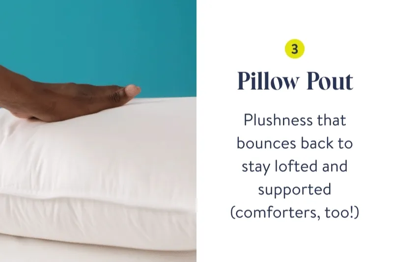 Pillow Pout