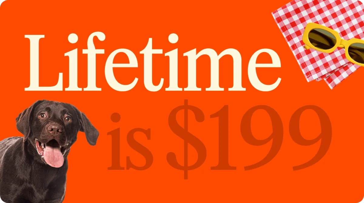 Lifetime is $199