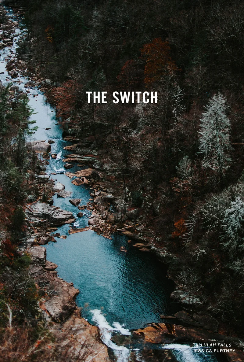 THE SWITCH