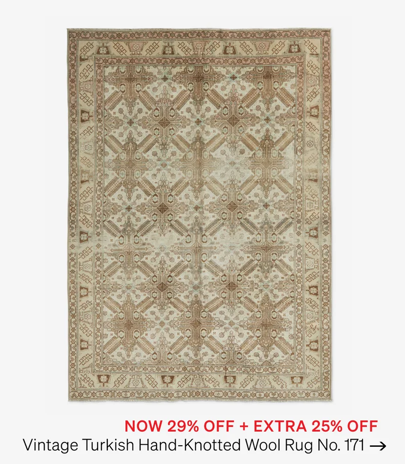 Shop Vintage Rug No. 171
