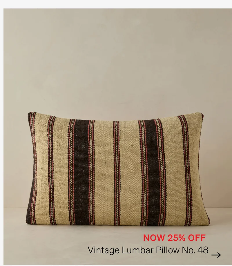 Shop Vintage Pillow No. 48
