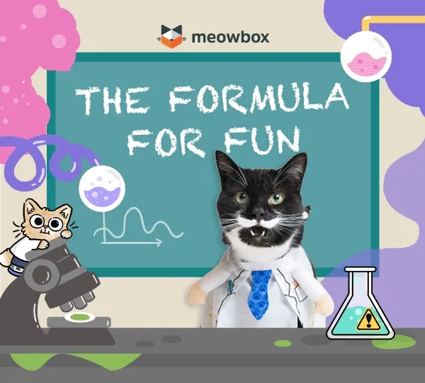 The formula for fun! Image of a black and white cat looking around in front of a science classroom background.