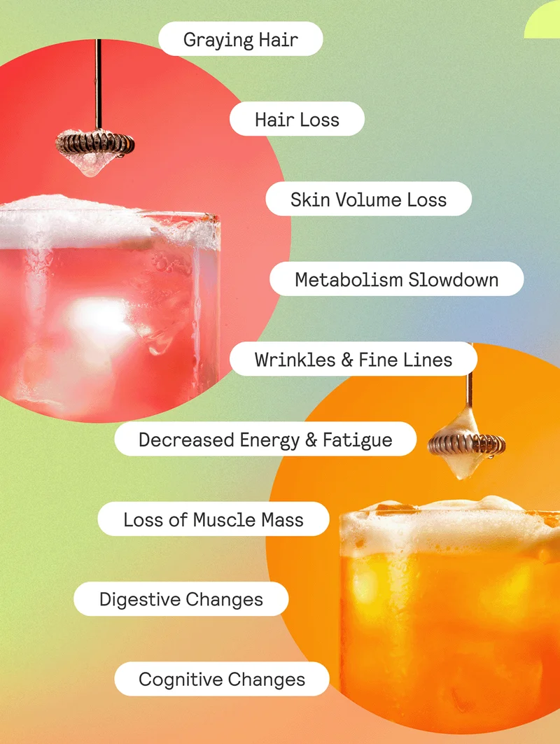 Graying Hair | Hair Loss | Wrinkles & Fine Lines | Skin Volume Loss | Metabolism Slowdown | Decreased Energy and Fatigue | Loss of Muscle Mass | Digestive Changes | Cognitive Changes