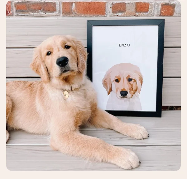 Hero Image Hero Image