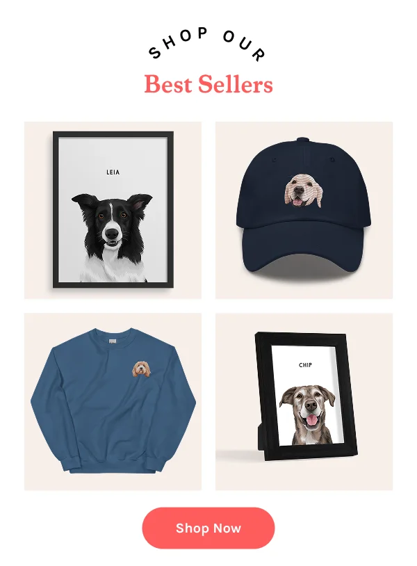 Best Sellers Best Sellers
