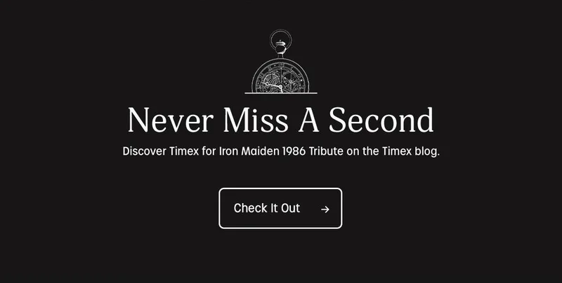 Check It Out - Timex