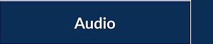 Audio