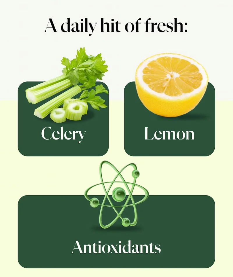 Adaily hit of fresh celery, lemon, and antioxidants.