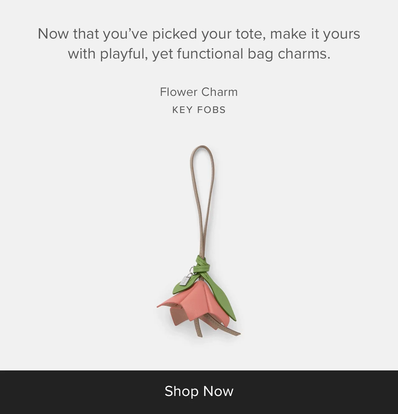 Now that you’ve picked your tote, make it yours with playful, functional bag charms.
