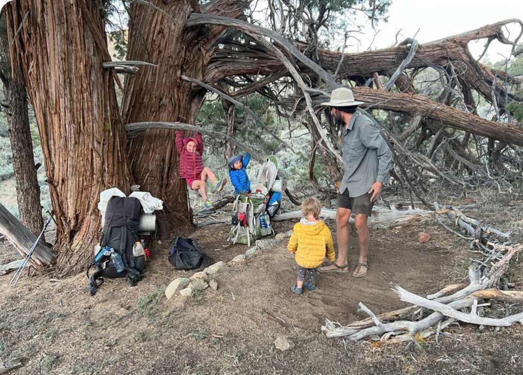 Photo of an adult backpacker watching three young kids play on a tree.