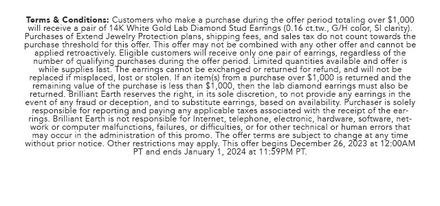 Promo Terms