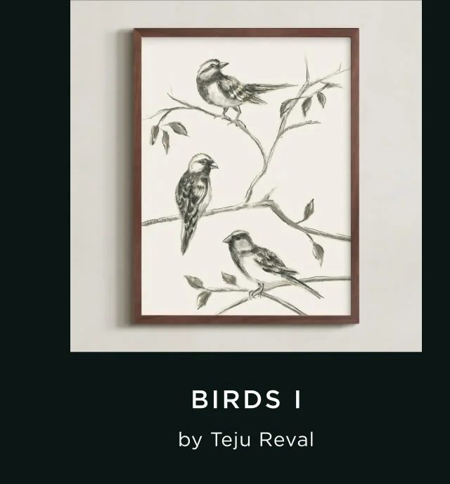 Birds I