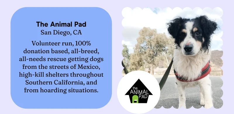 Animal Pad