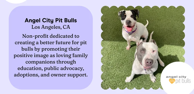 Angel City Pits