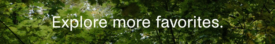 Explore more favorites.