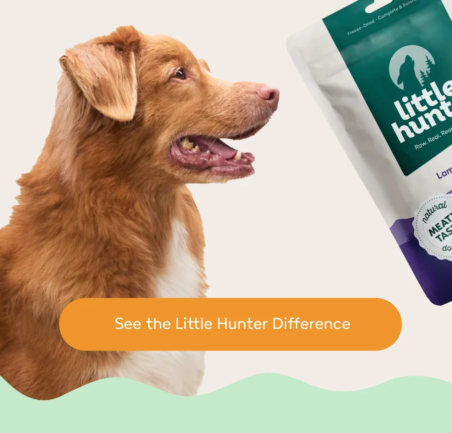 See the Little Hunter Difference