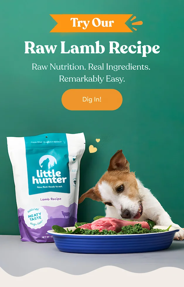 Raw lamb Recipe
