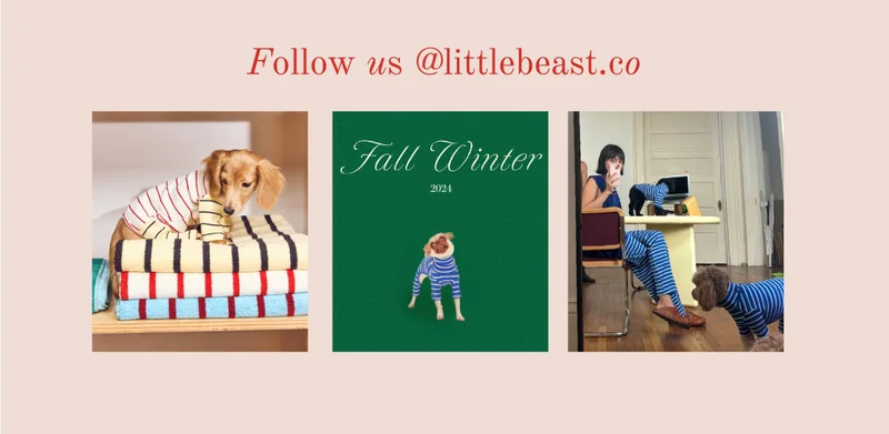 Follow us on Instagram