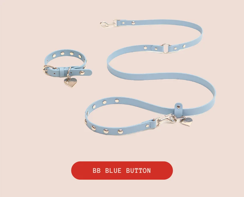 BB Blue Button Leash