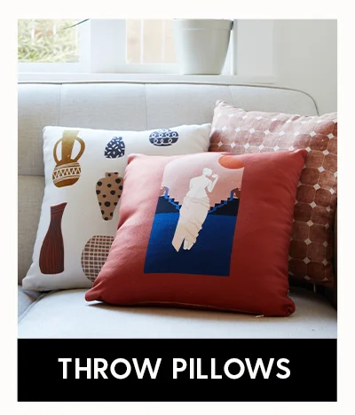 Shop Throw Pillows