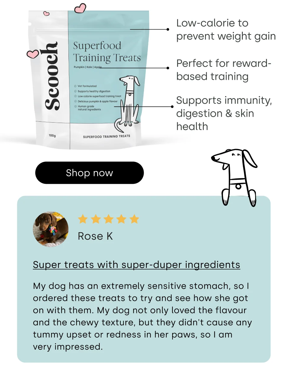 free training treats at Scooch