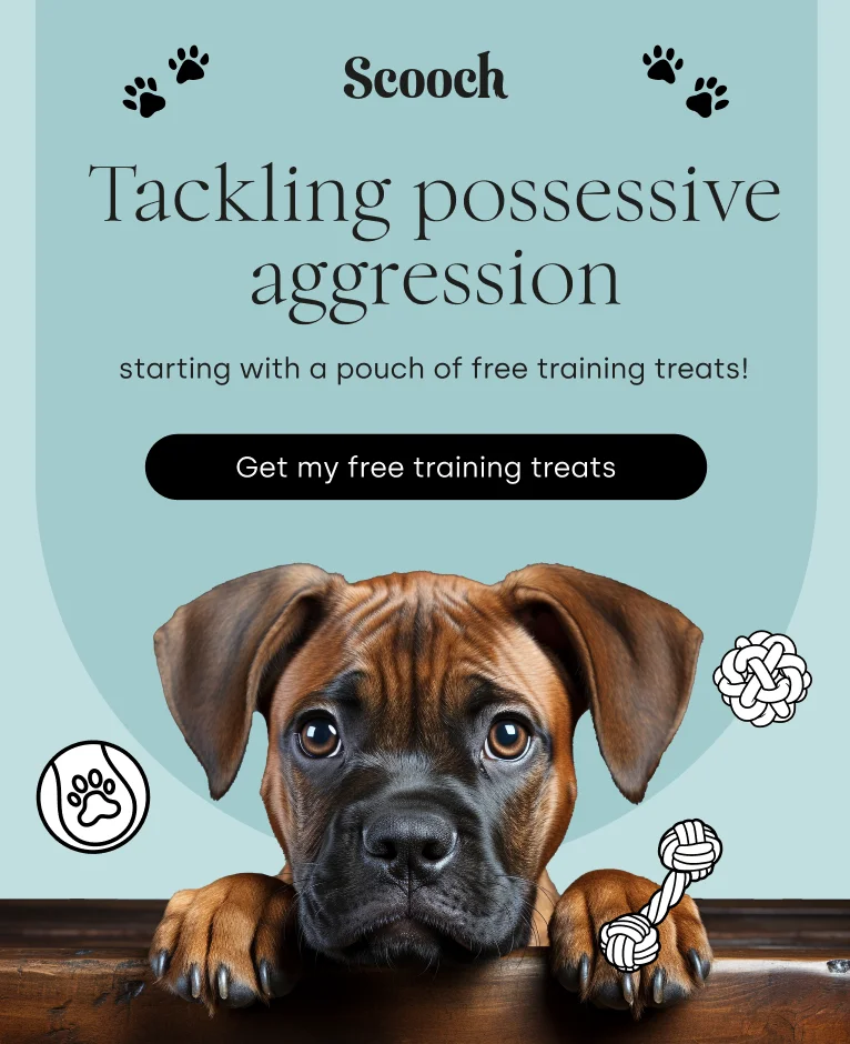 free training treats at Scooch