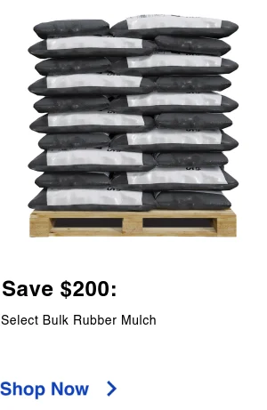 Display images to show real-time content