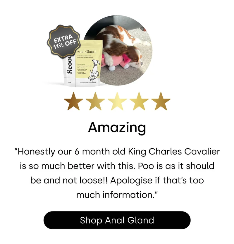 See why dog parents everywhere are stocking up… - Shop Anal Gland