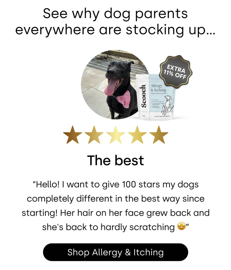 See why dog parents everywhere are stocking up… - Shop Allergy & Itching