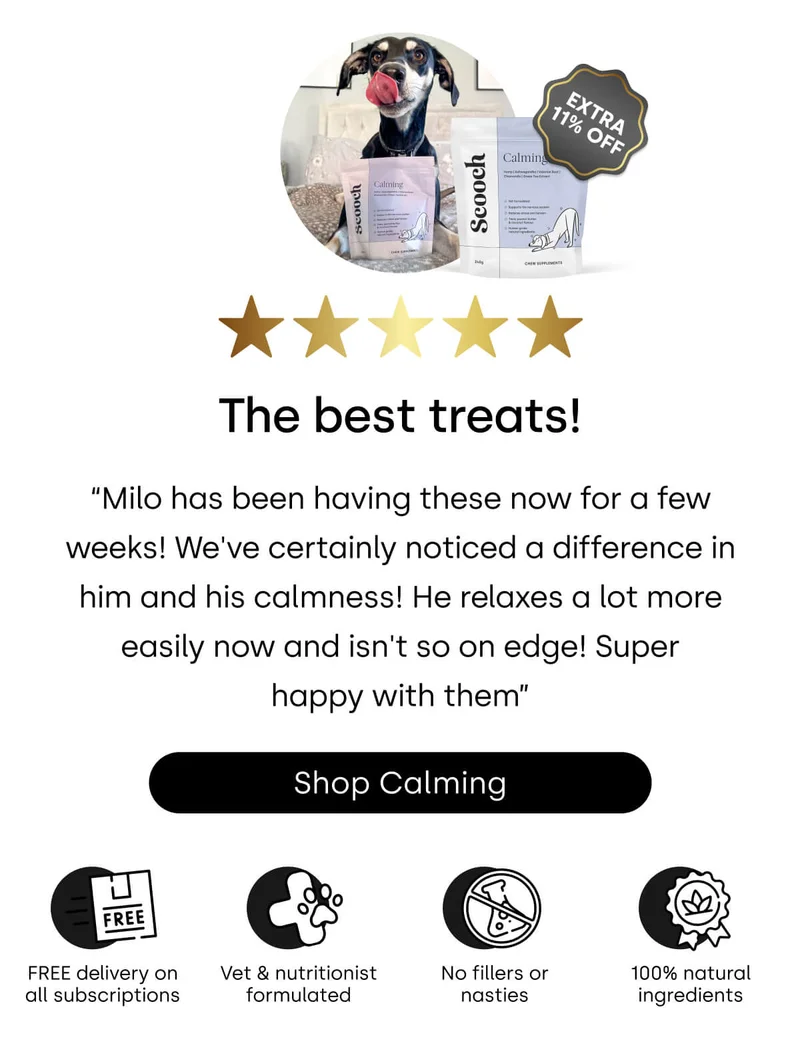 See why dog parents everywhere are stocking up… - Shop Calming