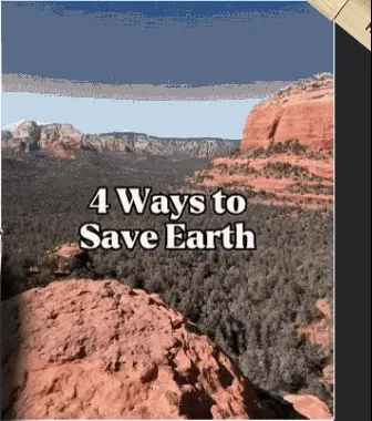 @yourveganmentor1