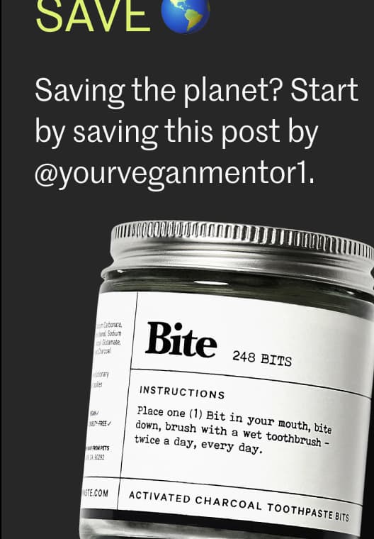 @yourveganmentor1