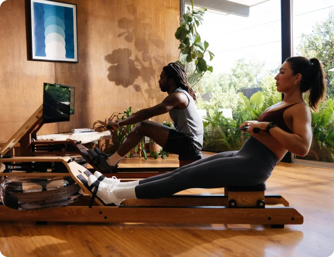 Ergatta rowers