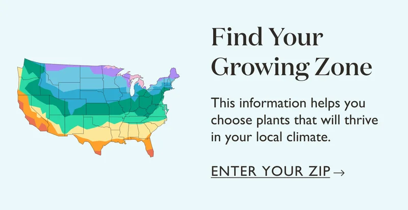 Find your growing zone! This information helps you choose plants that will thrive in your local climate.