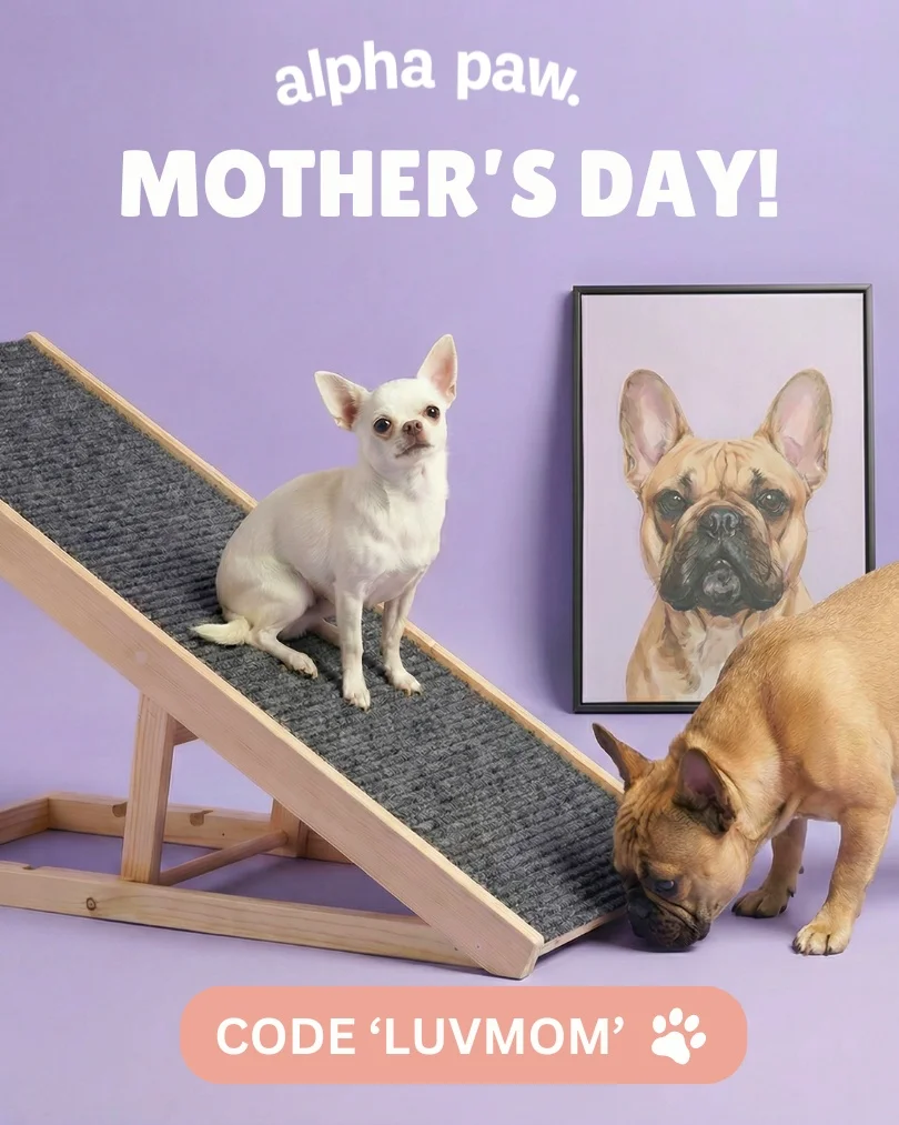Alpha Paw Luv Mom Alpha Paw Luv Mom
