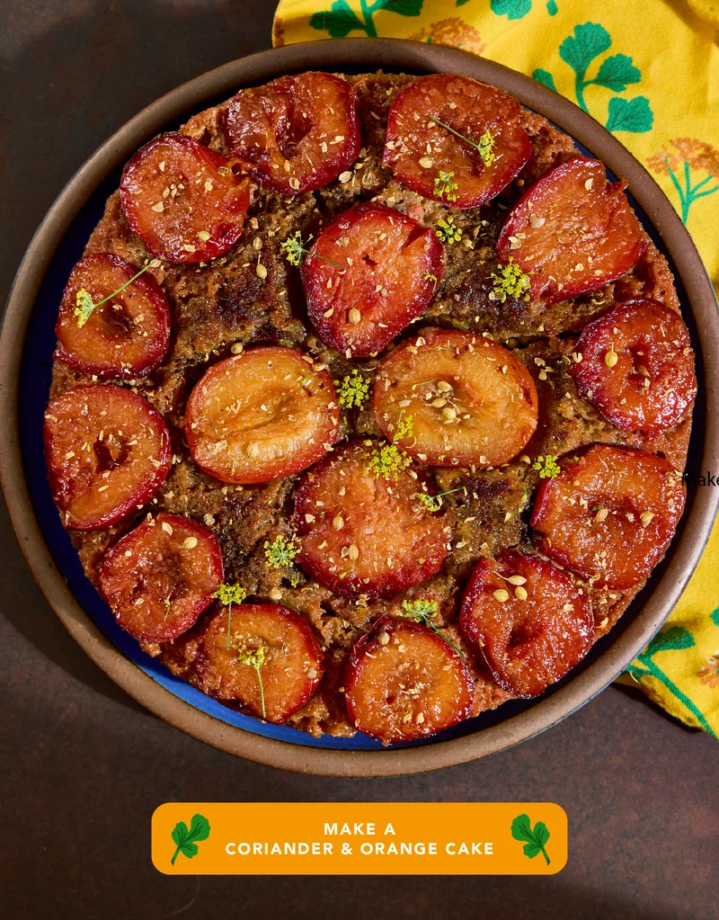 Make A Coriander & Orange Cake
