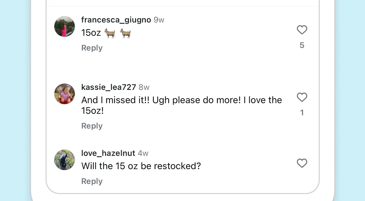 Instagram Feed with Comments