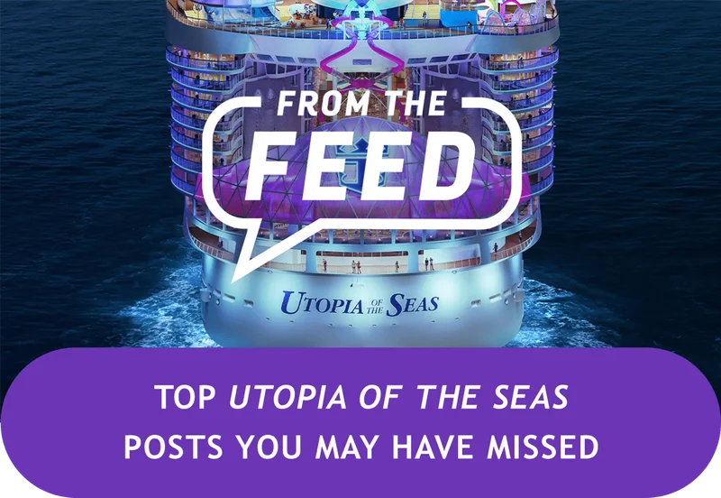 FROM THE FEED