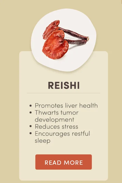 Reishi. Promotes liver health. Thwarts tumor development. Reduces stress. Encourages restful sleep. Read more