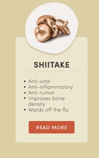 Shiitake. Anti-viral. Anti-inflammatory. Anti-tumor. Improves bone density. Wards off the flue. Read more