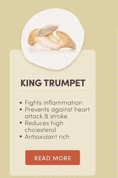 King Trumpet. Fights inflammation. Prevents against heart attack and stroke. Reduces high cholesterol. Antioxidant rich. Read more